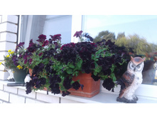 2017 ��� (111).jpg