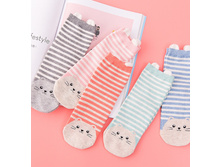 12,5 - ����� 5 ���