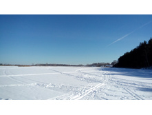 IMG 20180310 111233.jpg