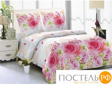 BZ Alexandria EURO M.jpg