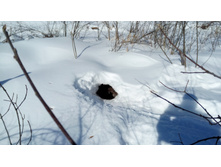 IMG 20180309 122803.jpg