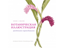 ������������ ����������� �������� �����������