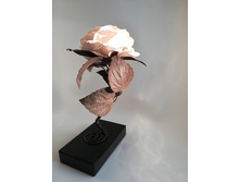 IMG 20180225 155258.jpg