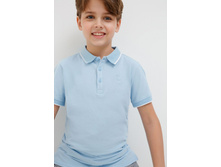 20110110102   Zweig   ������� preview.jpeg