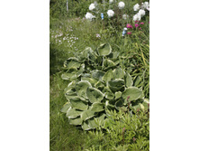 2016 ��� (76).JPG