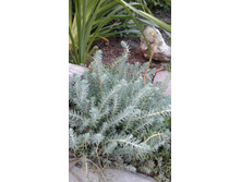 2017 ��� (100).jpg