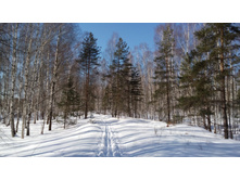 IMG 20180311 121915.jpg