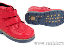 343-121 ������� ���������� ���."2����", ���� �����-�������, ���� - 2290 ���