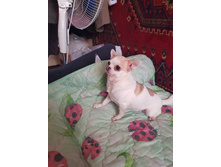 20180314 134448.jpg