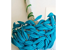 ������� ��� ����� �����.jpg