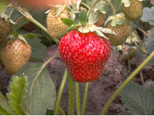 2014-06-13 14.37.37.jpg