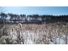 IMG 20180310 114241.jpg