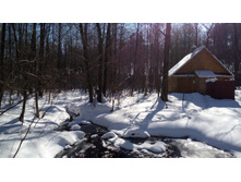 IMG 20180310 122802.jpg