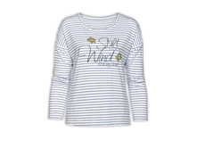 DFJ6731 ������� ������� (1 �� � ���.)