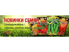 Banner 1.png