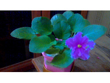 ������ ���-������ �����