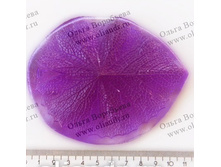 ���� ����� �������.jpg