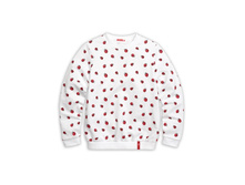 GFN4048/1 ��������� ��� ������� (1 �� � ���.)