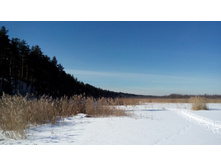 IMG 20180310 111302.jpg