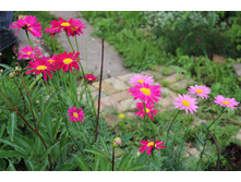 �������� (�ϣ ����)