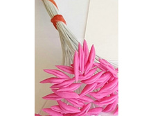 ������� ��� ����� �������.jpg