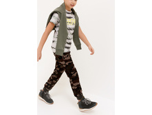 20110160147   Kramer-3          .jpg