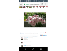 Screenshot 20171025-125415.png