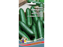 ������ ������� F1 - 45,5 ���. (10 ��.) ����������� ��������.jpeg