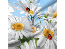 11733 ���������-������� ������� 220 ��.jpg