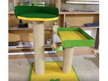 ��������� "�����"