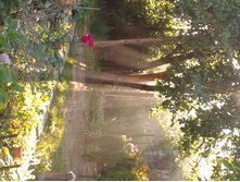 2014-08-23 19.00.32.jpg