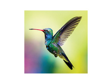 1018 ������� - 150�