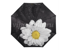 ���� ������� 164 Diniya 3 ����. ������� ����� ��������� �� ������ �����.jpg