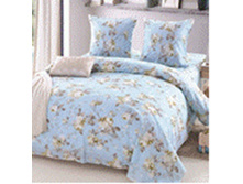 BZ Sheila SINGLE P.jpg