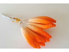 ������ ����� ��������� �.jpg