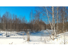 P 20180308 142727-01.jpeg