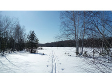 IMG 20180309 121228.jpg