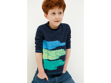 20120170043   Fitzgerald        -     .jpg