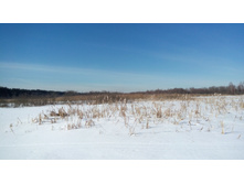 IMG 20180310 113002.jpg