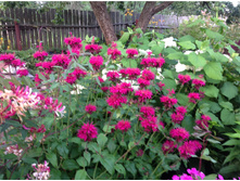 ������� ������ ����