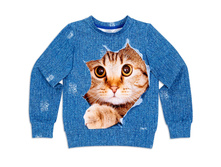 ������� ��� ������� ������ -- 480 �.