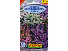 10���, 2�����