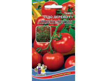 ����-������