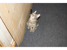 DSC05000.JPG