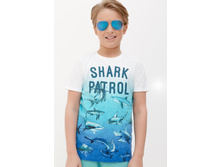 20110110132   Renuar   �������.jpg