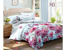 ���������� ����� �� ������� ���.RP-243.jpg