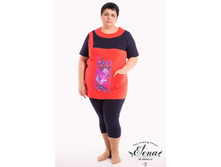 3.1806-� ������