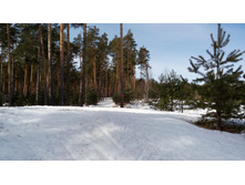 IMG 20180408 103117.jpg