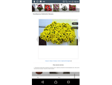 Screenshot 20180423-151409.png