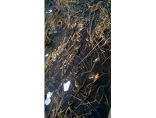 WP 20180425 13 26 17 Pro.jpg